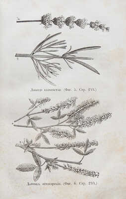 Целебный источник здоровья (домашний лечебник), содержащий в себе: врачебные средства и наставления сохранять здоровье, узнавать и лечить болезни без пособия доктора и аптеки… М.: Типография Императорских Московских театров (Ив. Смирнова), 1867.